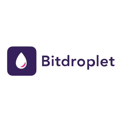 Bug Bounty Program Bitdroplet Bitdroplet